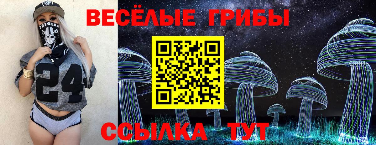 Галлюциногенные грибы Psilocybe  где купить   Ишим  Вход с VPN 