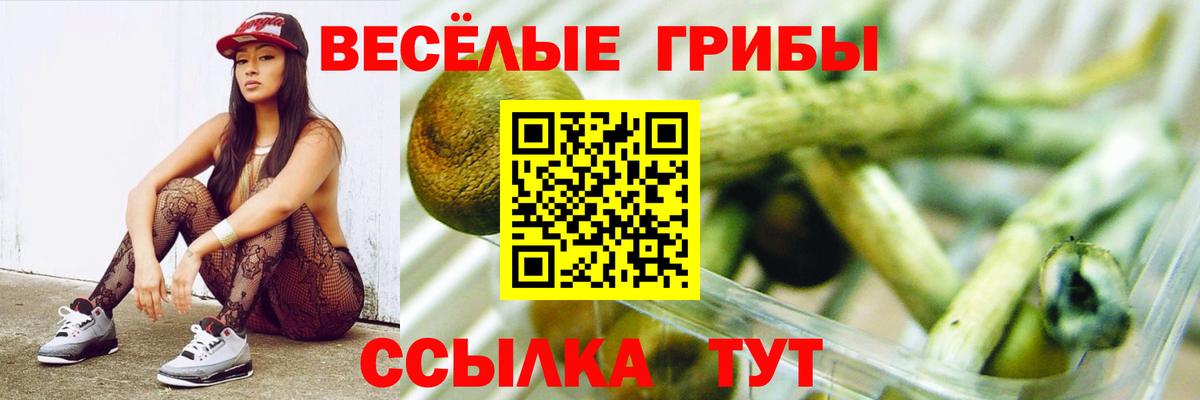 Галлюциногенные грибы Psilocybine cubensis Ишим