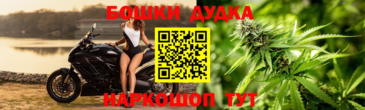 Каннабис планчик Ишим
